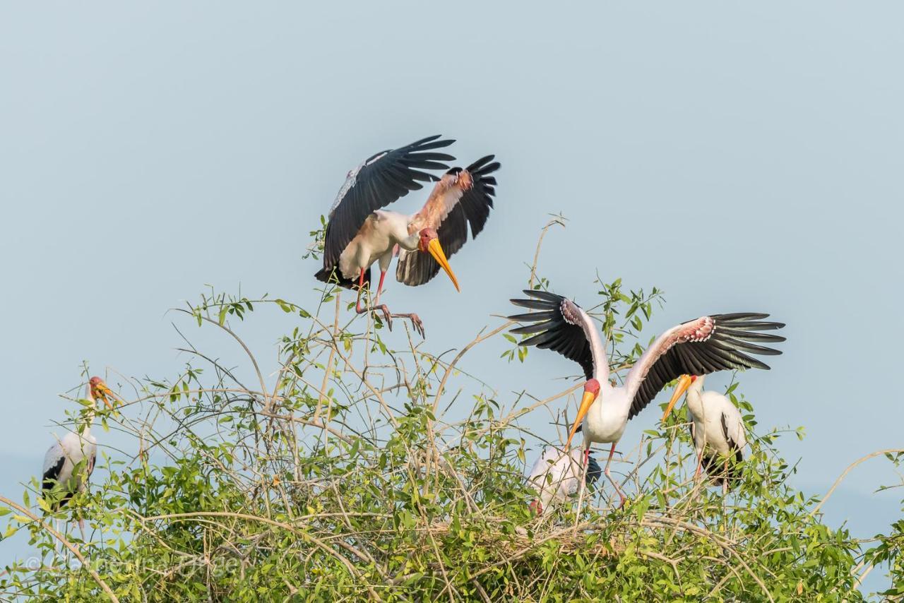 Lake Natron Maasai Giraffe Eco Lodge And Camping Mtowabaga Buitenkant foto
