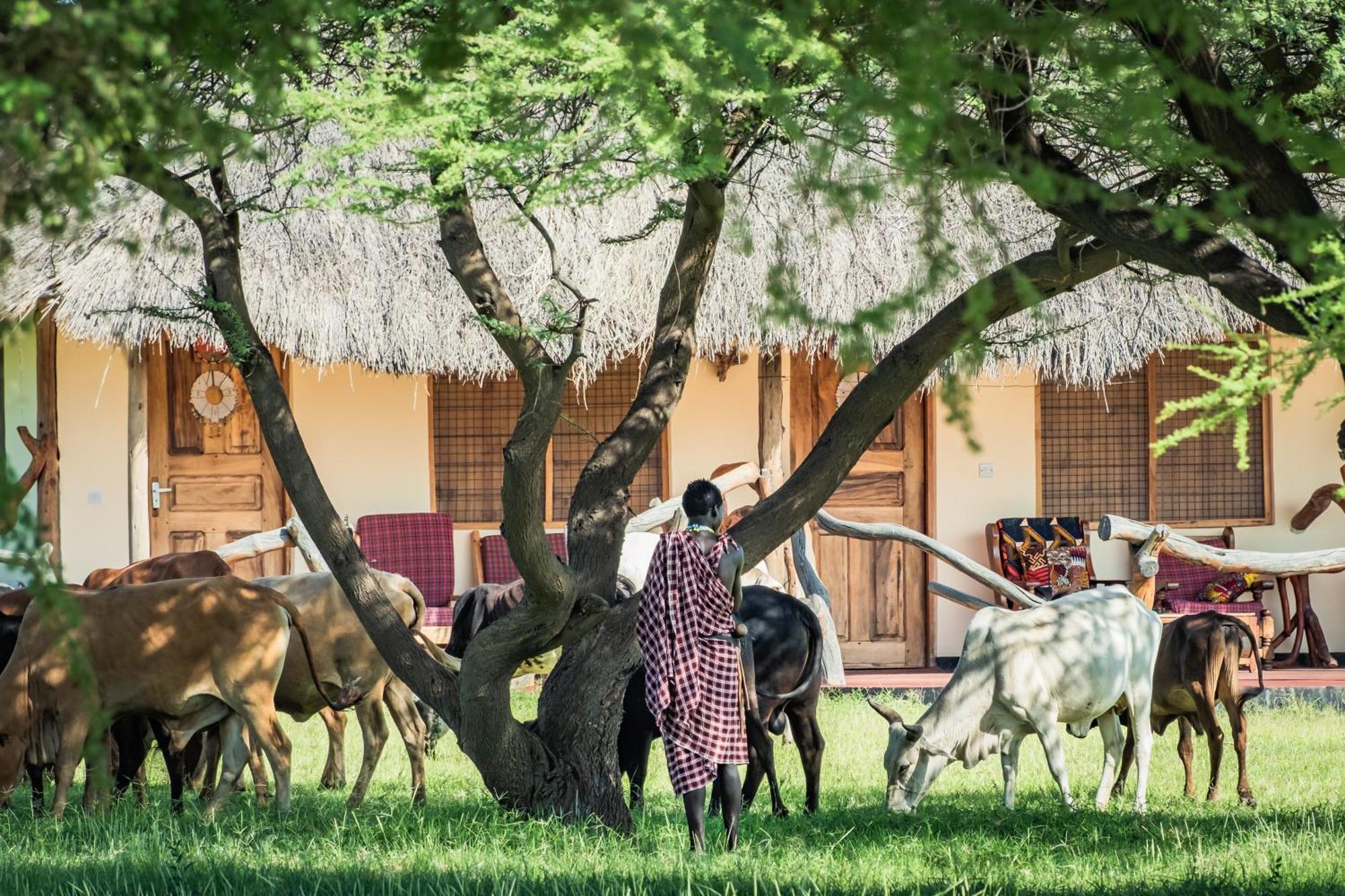 Lake Natron Maasai Giraffe Eco Lodge And Camping Mtowabaga Buitenkant foto